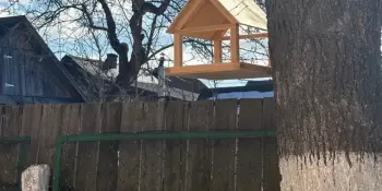 Зимующим птицам — нашу заботу